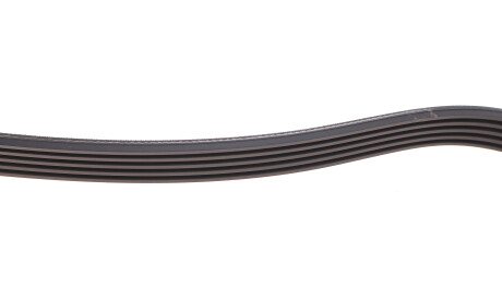 Фото 3 - Ремень приводной HUTCHINSON 1815 K 5 (1815K5)