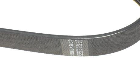 Фото 3 - Ремінь приводний HUTCHINSON 1863 K 6 (1863K6)