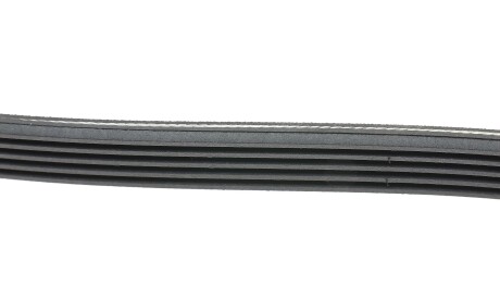 Фото 2 - Ремень приводной HUTCHINSON 1885 K 5 (1885K5)