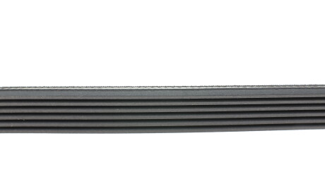 Фото 2 - Ремінь приводний HUTCHINSON 1954 K 6 (1954K6)