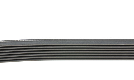 Фото 2 - Ремінь приводний HUTCHINSON 2285 K 7 (2285K7)