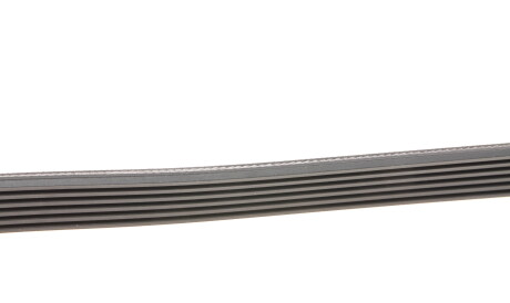 Фото 2 - Ремінь приводний HUTCHINSON 2442 K 6 (2442K6)