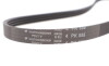 Ремень приводной HUTCHINSON 855 K 4 (855K4) - фото 5