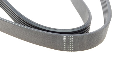 Фото 3 - Ремень приводной HUTCHINSON 989 SK 6 (989SK6)