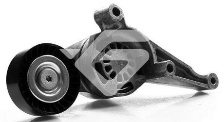 Ролик натяжний 1,9/2,0 TDI VW Golf (06-10), Passat (05-10), Caddy (04-10) - (03G903315C, 03G903315D) HUTCHINSON T0260