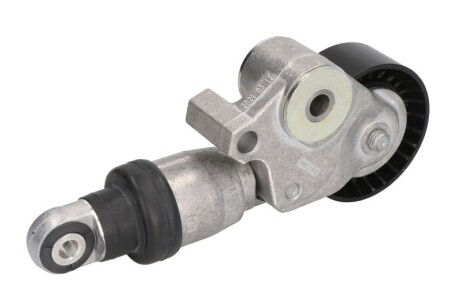 Фото 2 - Ролик ремня приводного HUTCHINSON T0546