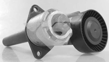 Ролик натяжний - HUTCHINSON T0684