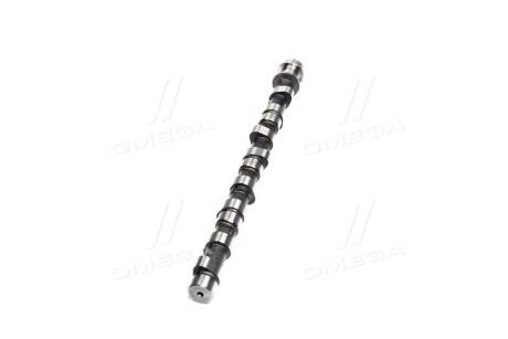 Фото 4 - Розподільний вал Hyundai/Kia 2411042501