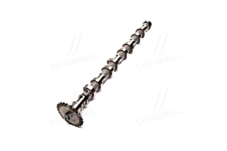 Фото 2 - Розподільний вал Hyundai/Kia 242002A101