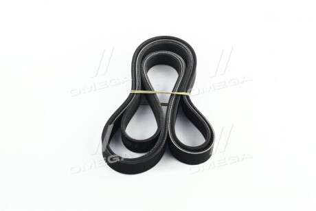 Фото 2 - Ремінь приводний Hyundai/Kia 252122G750