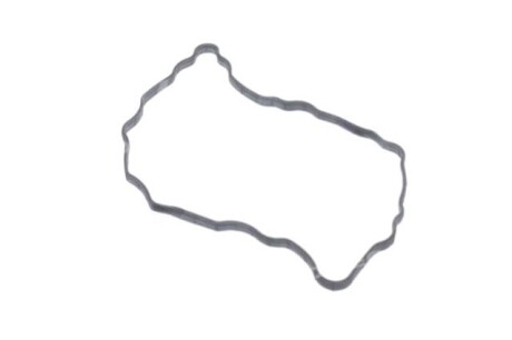 Прокладка клапанной крышки двигателя - Hyundai/Kia 224432F600 (фото 1)