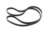 Ремень поликлиновый 6PK2120 (25212-2G710) Mobis - Hyundai/Kia 252122G710 (фото 1)