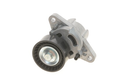 Фото 3 - Шкив генератора IJS GROUP 93-1095 (931095)