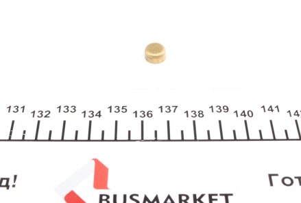 Заглушка блоку циліндрів (d=9mm) Латунь/Brass - IMPERGOM 40939