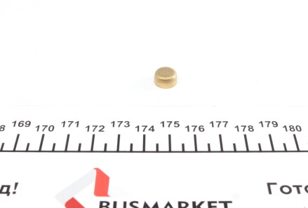 Заглушка блоку циліндрів (d=10mm) Латунь/Brass - IMPERGOM 40940