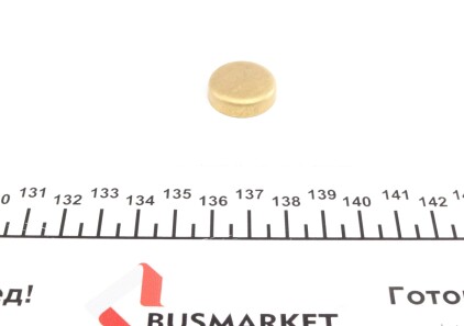Заглушка блоку циліндрів (d=21mm) Латунь/Brass - IMPERGOM 40954