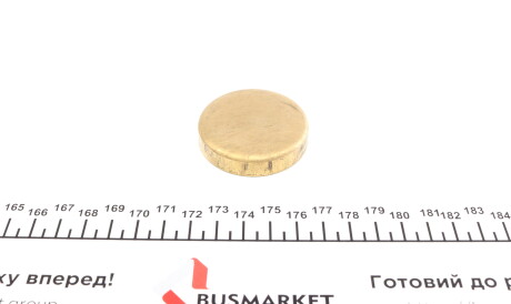 Заглушка блоку циліндрів (d=47mm) Латунь/Brass - IMPERGOM 40984