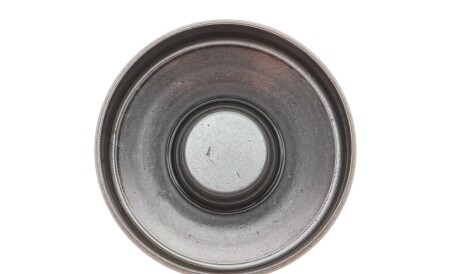 Фото 3 - Гідрокомпенсатори INA 420 0022 10 (420002210)