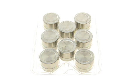 Фото 2 - Гидрокомпенсаторы INA 420 0061 10 (420006110)