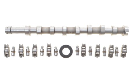 Комплект кулачкового вала - ((1685737, 0801FC, AV6Q6250BA)) INA 428 0056 30