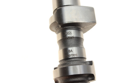 Фото 3 - Распредвал INA 428 0176 10 (428017610)