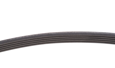 Фото 3 - Комплект ременя ГРМ INA 529 0013 10 (529001310)