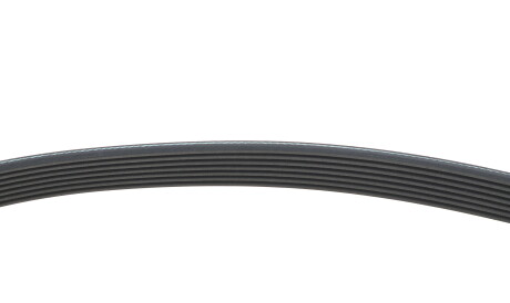 Фото 3 - Комплект ременя ГРМ INA 529031610