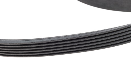 Фото 4 - Ремень приводной INA 529 0448 10 (529044810)