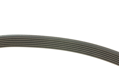 Фото 2 - Ремень приводной INA 529 0497 10 (529049710)