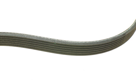 Фото 2 - Ремінь приводний INA 529 0503 10 (529050310)