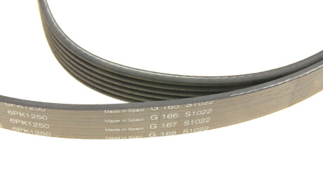 Фото 3 - Ремінь приводний INA 529 0524 10 (529052410)