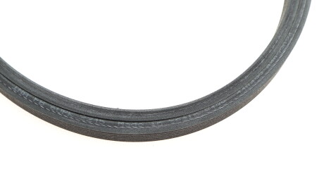 Фото 3 - Ролик ремня приводного INA 529052910