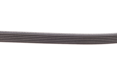 Фото 3 - Ремінь приводний INA 529 0535 10 (529053510)