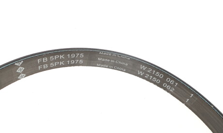 Фото 2 - Ролик ремня приводного INA 529 0545 10 (529054510)