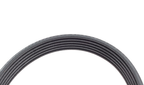 Фото 3 - Ремінь приводний INA 529 0550 10 (529055010)