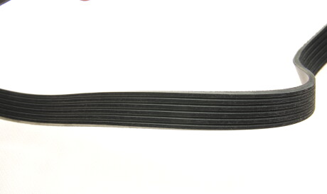 Фото 2 - Ролик ремня приводного INA 529 0552 10 (529055210)