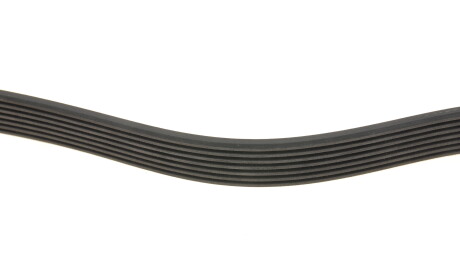 Фото 2 - Ремень приводной INA 529 0555 10 (529055510)