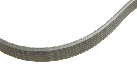 Фото 3 - Ремень приводной INA 529 0556 10 (529055610)