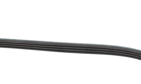 Фото 3 - Ролик ременя приводного INA 529 0570 10 (529057010)