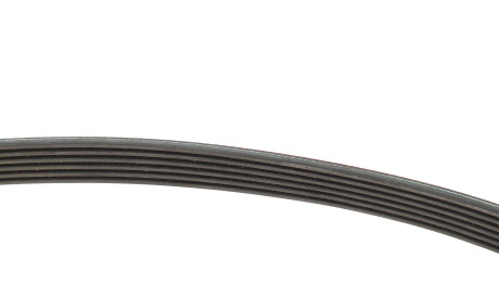 Фото 3 - Ролик ременя приводного INA 529 0577 10 (529057710)