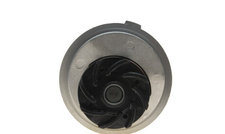 Фото 3 - Комплект ременя ГРМ INA 530 0358 31 (530035831)