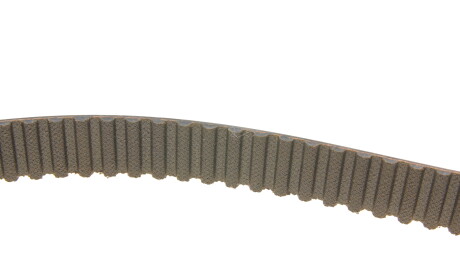 Фото 2 - Комплект ременя ГРМ INA 530 0406 10 (530040610)