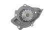 Комплект ГРМ + помпа Peugeot 406 607 807 2.2 HDi 00- (146x25.4) (538 0428 10) - (0816A6, 0829C3, 0829C4) INA 530 0446 31 (фото 3)