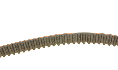 Фото 3 - Комплект ремня ГРМ INA 530 0546 31 (530054631)