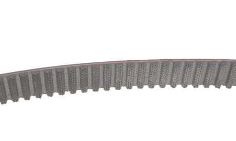 Фото 3 - Комплект ремня ГРМ INA 530 0619 10 (530061910)