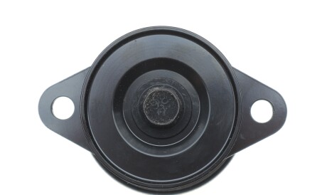 Фото 3 - Ролик ременя приводного INA 532 0612 10 (532061210)