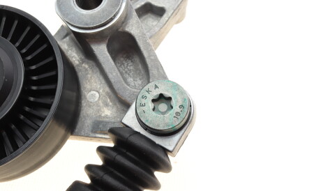 Фото 3 - Ролик ременя приводного INA 534 0098 10 (534009810)