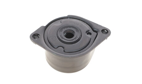 Фото 2 - Ролик ременя приводного INA 534 0170 10 (534017010)