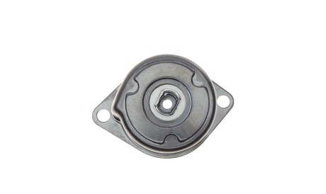 Фото 3 - Ролик ремня приводного INA 534 0172 10 (534017210)