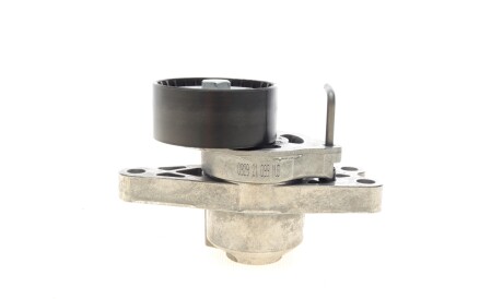 Фото 3 - Ролик ременя приводного INA 534 0179 10 (534017910)